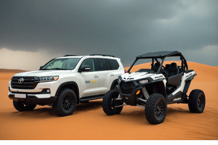 Standard Desert Safari + Dune Buggy Ride